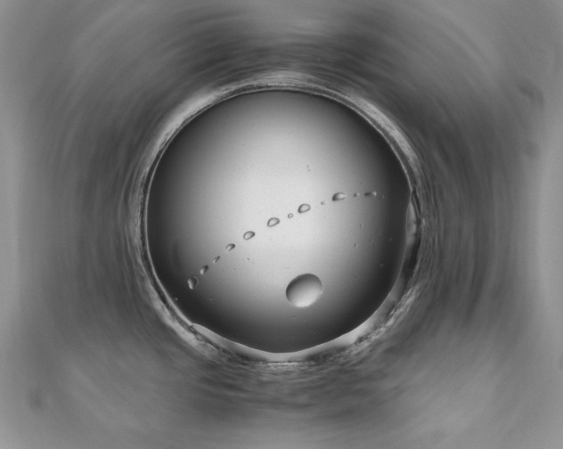 X0000110931437200906181420