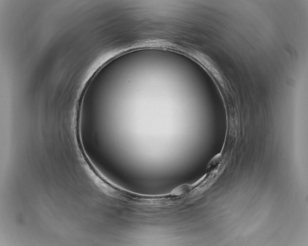 X0000110931438200906181420