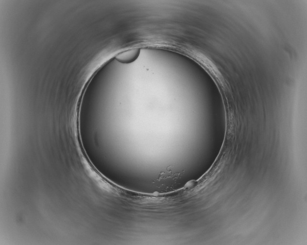 X0000110931439200906181420