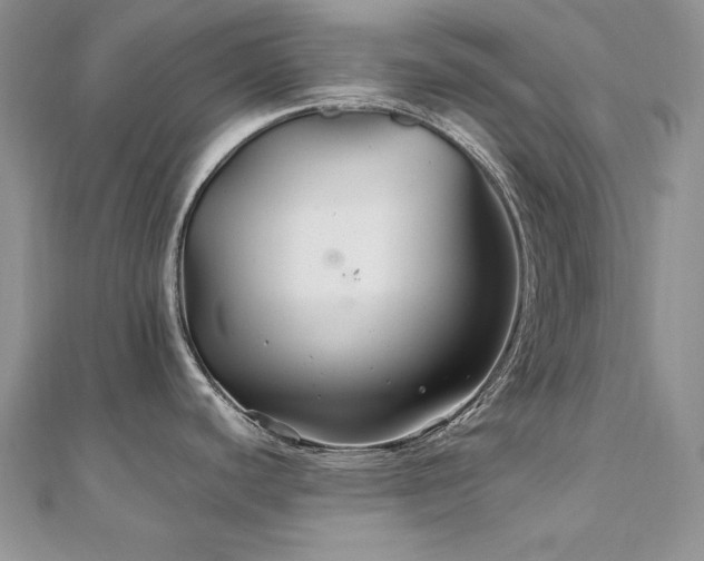 X0000110931440200906181420