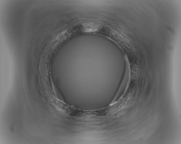 X0000110931441200906181419
