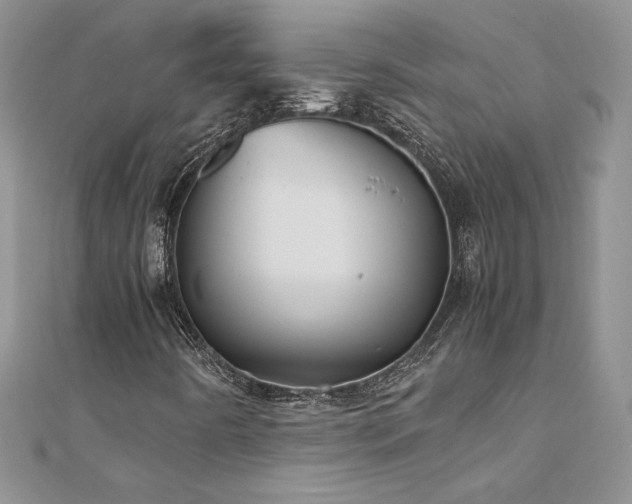 X0000110931442200906181419