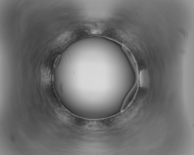 X0000110931443200906181419