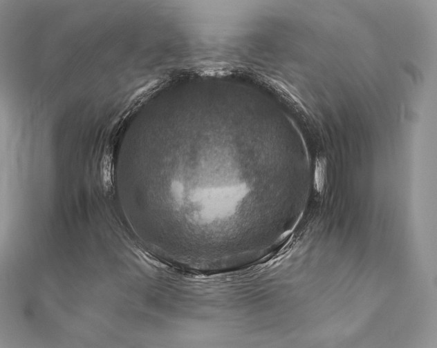 X0000110931444200906181419