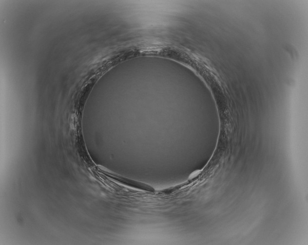 X0000110931445200906181419