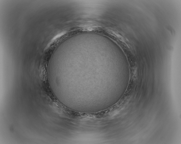 X0000110931446200906181419