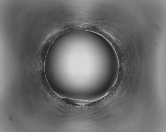 X0000110931447200906181419