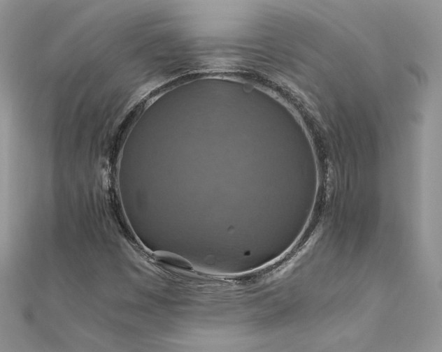 X0000110931449200906181419
