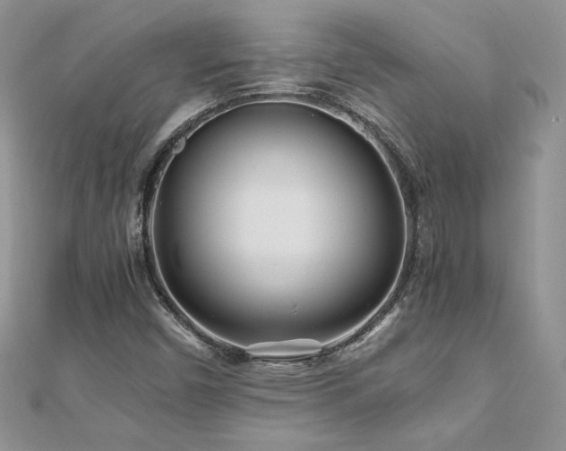 X0000110931450200906181419