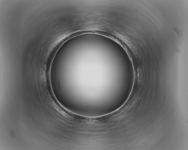 X0000110931452200906181419