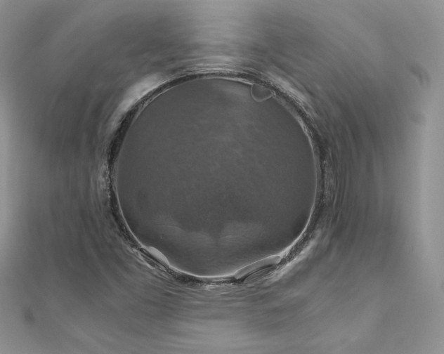 X0000110931453200906181419