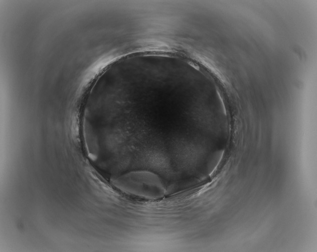 X0000110931455200906181419