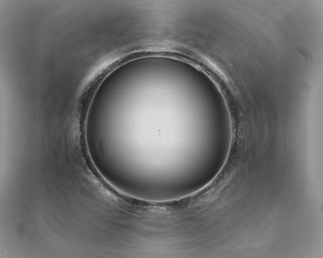 X0000110931456200906181419
