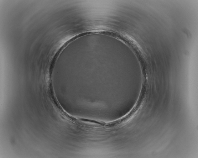 X0000110931457200906181419