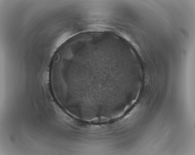 X0000110931459200906181419