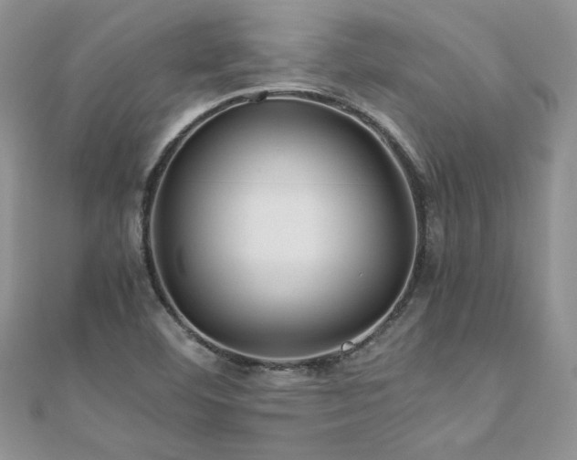 X0000110931460200906181419