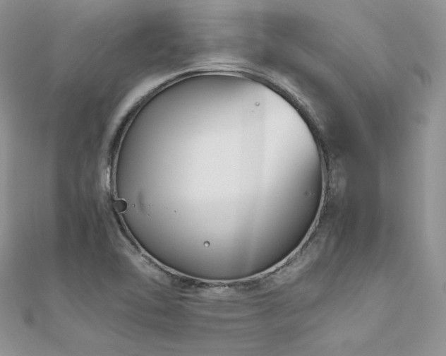 X0000110931462200906181419