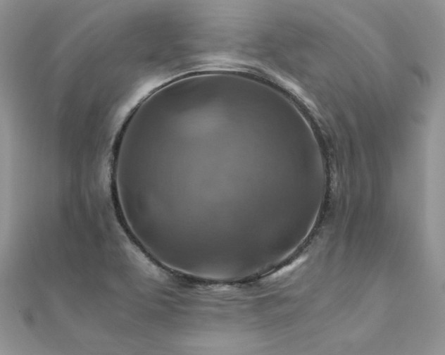 X0000110931463200906181419