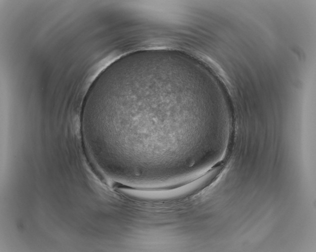 X0000110931465200906181419