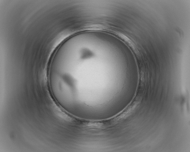 X0000110931466200906181419