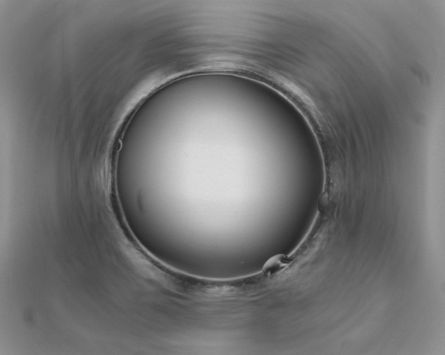 X0000110931467200906181419