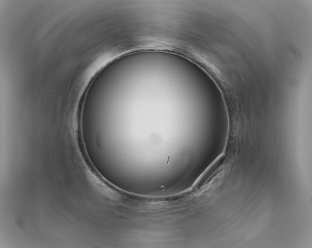 X0000110931471200906181419