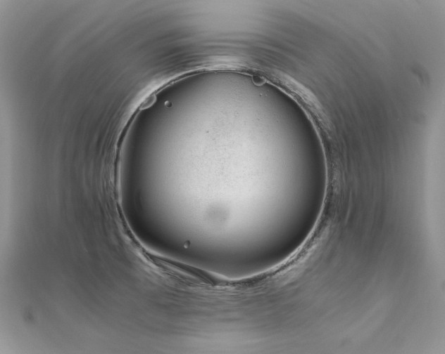 X0000110931473200906181419