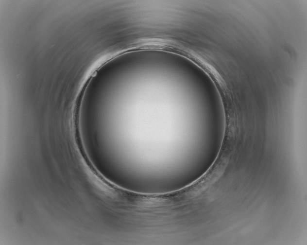 X0000110931475200906181419