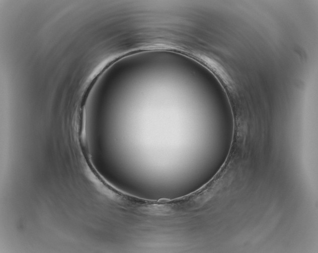 X0000110931476200906181419