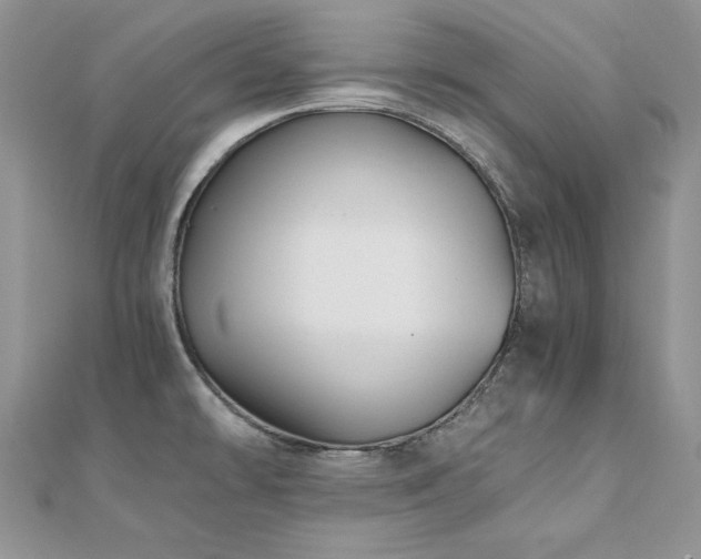 X0000110931478200906181419