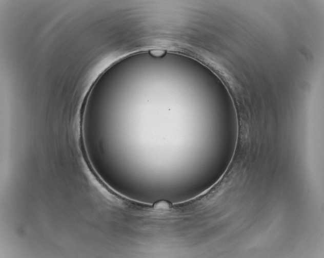 X0000110931479200906181419
