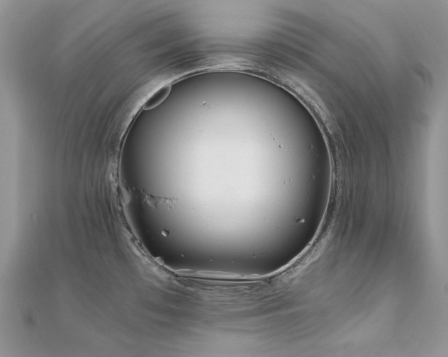 X0000110931481200906181419