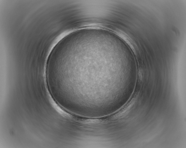 X0000110931482200906181419