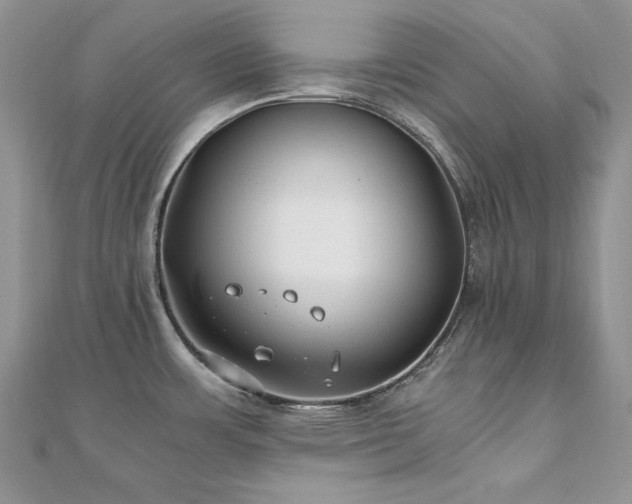 X0000110931483200906181419