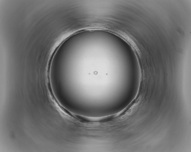 X0000110931485200906181419