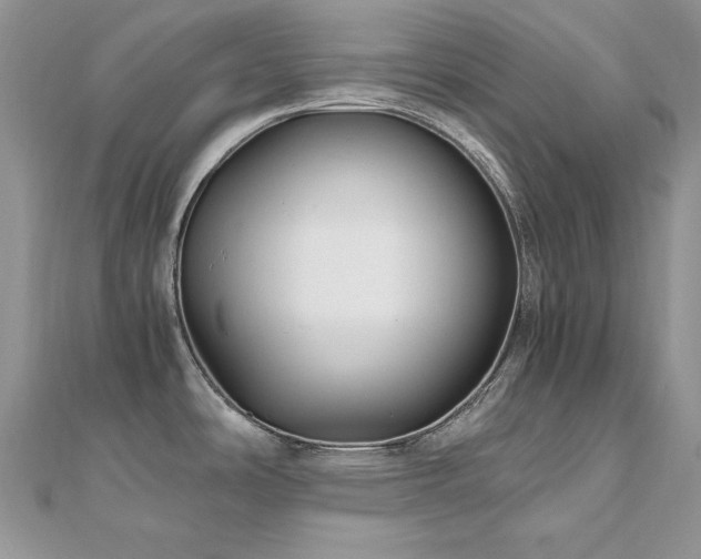 X0000110931486200906181419