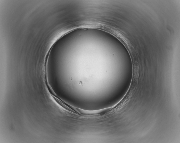 X0000110931487200906181419