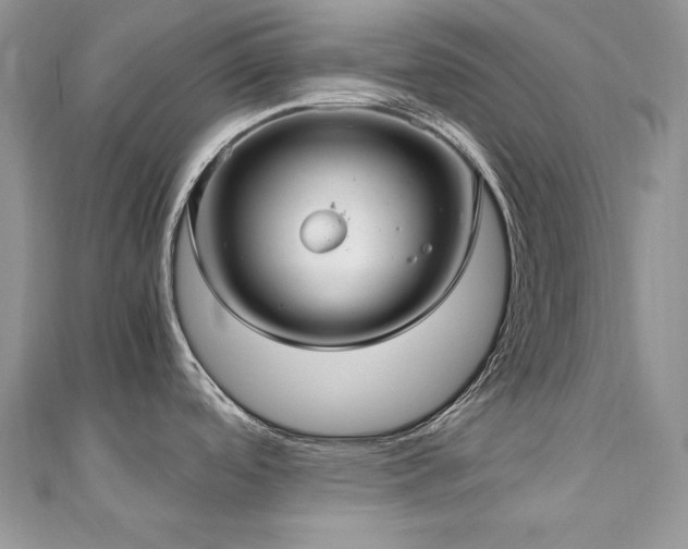 X0000110931488200906181419