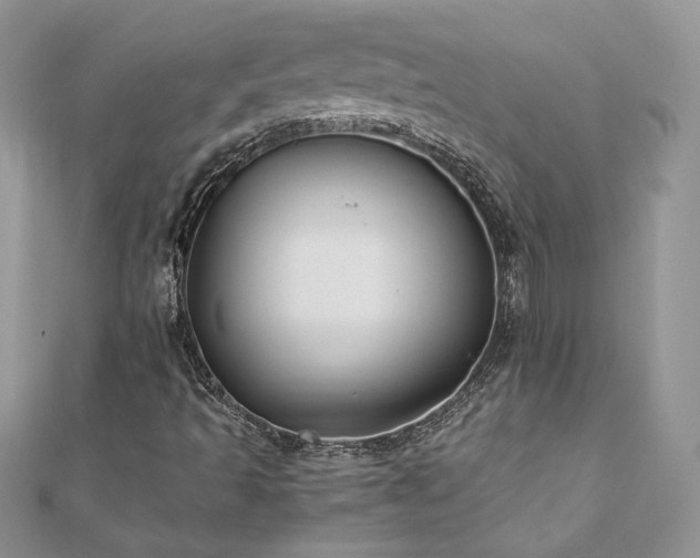 X0000110931493200906181418