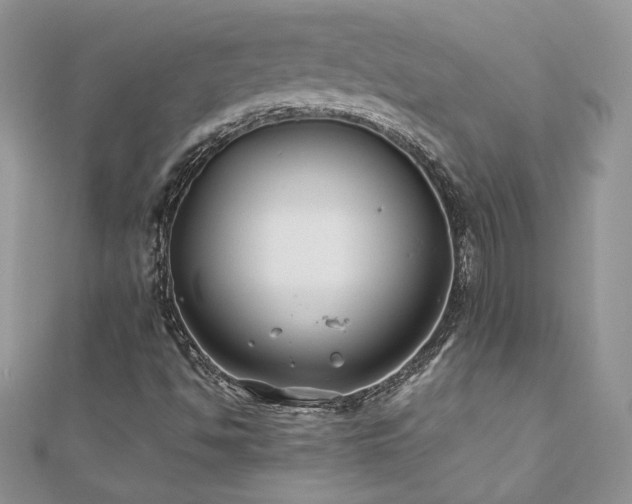 X0000110931494200906181418