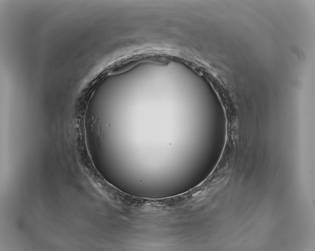 X0000110931496200906181418