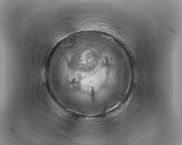 X0000110931497200906181418