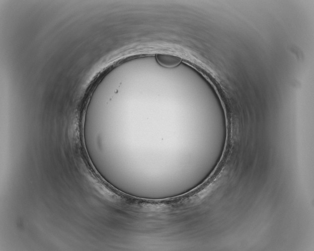 X0000110931498200906181418