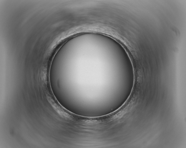 X0000110931499200906181418
