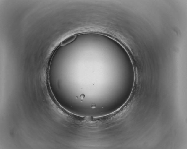 X0000110931500200906181418