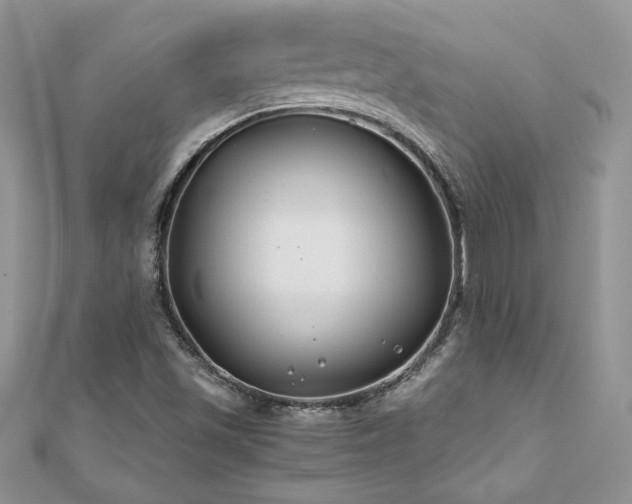 X0000110931501200906181418