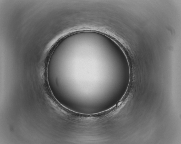 X0000110931502200906181418