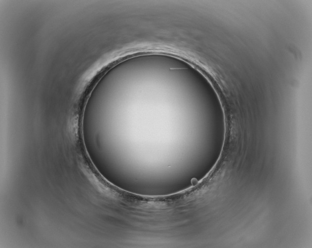X0000110931503200906181418