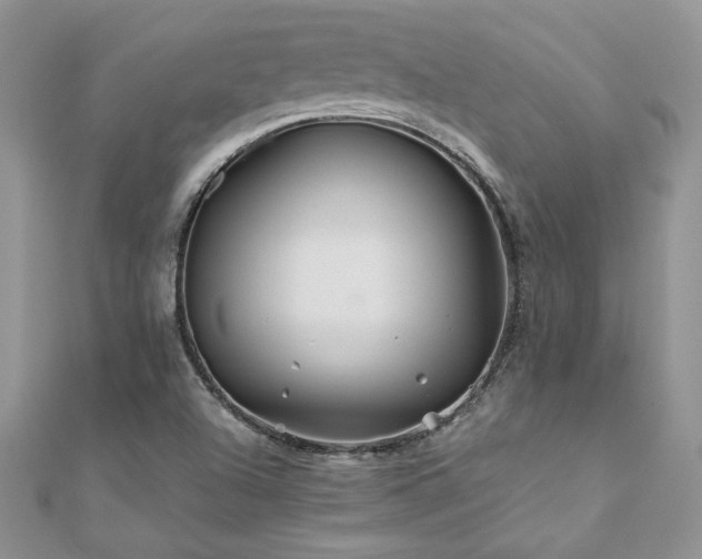 X0000110931504200906181418