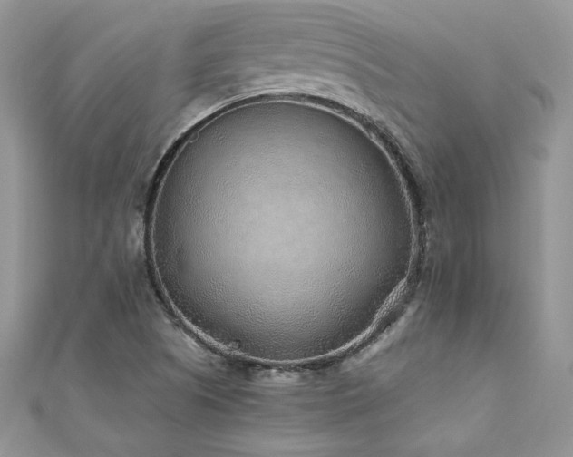 X0000110931505200906181418